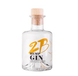 2B HEMP GIN 12x40ml